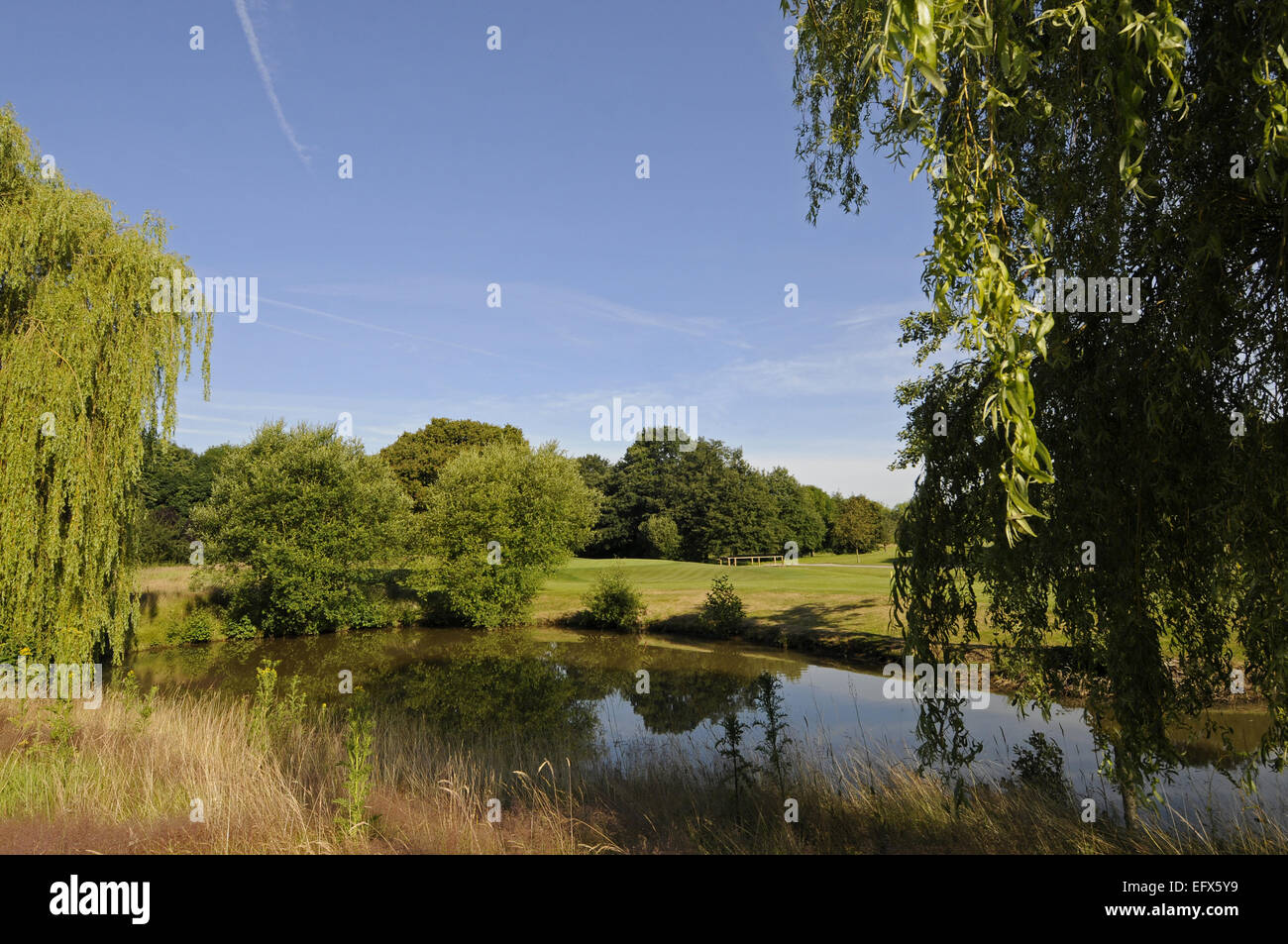 View of the Pond and willow trees on the17th Hole towards the Green