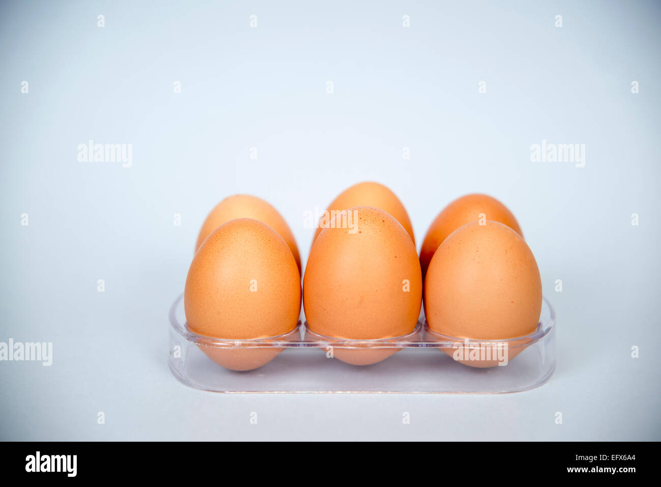 Half a dozen fresh eggs Stock Photo Alamy