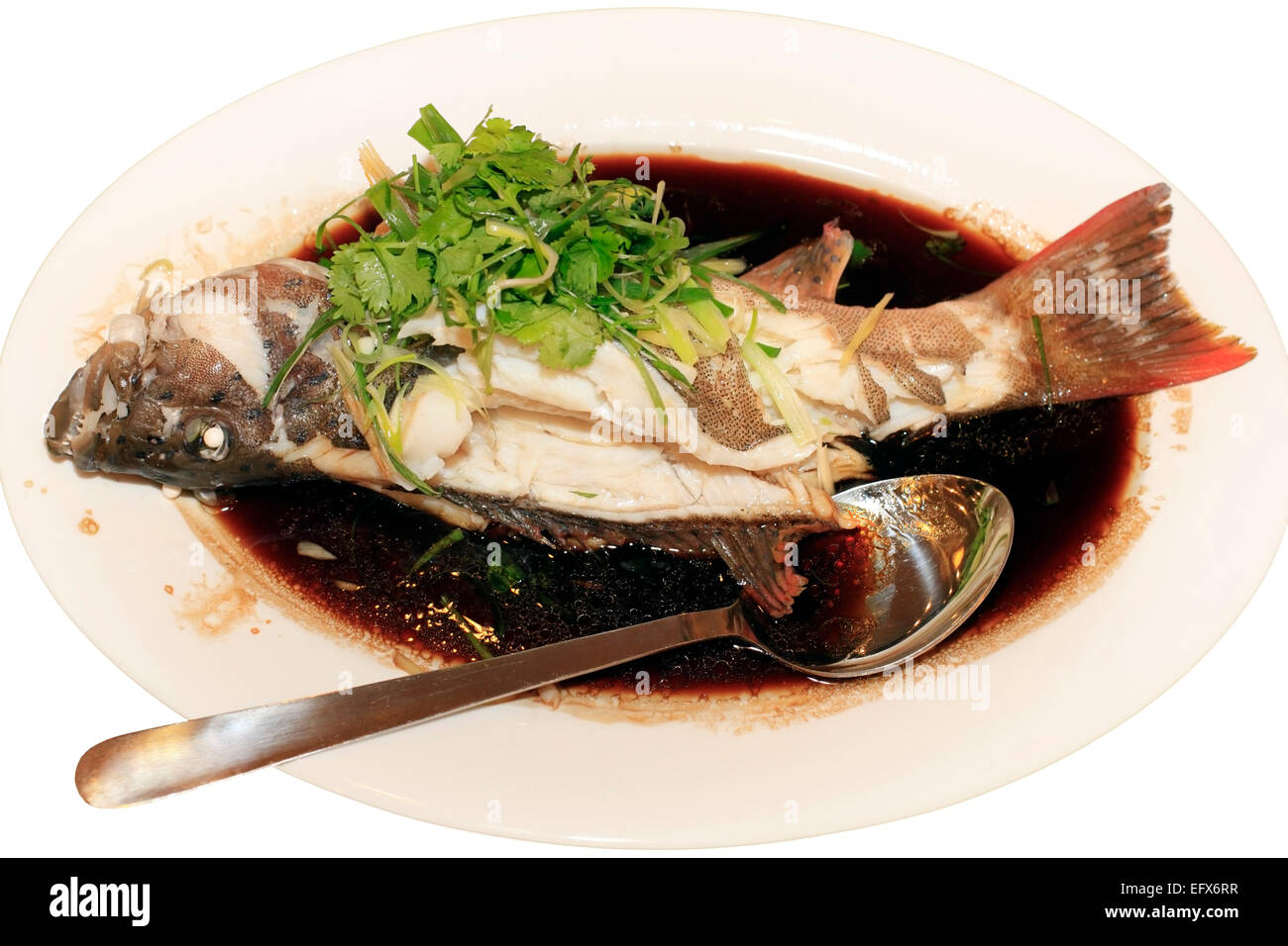 Grilled grouper fish grouper in soy sauce Stock Photo Alamy