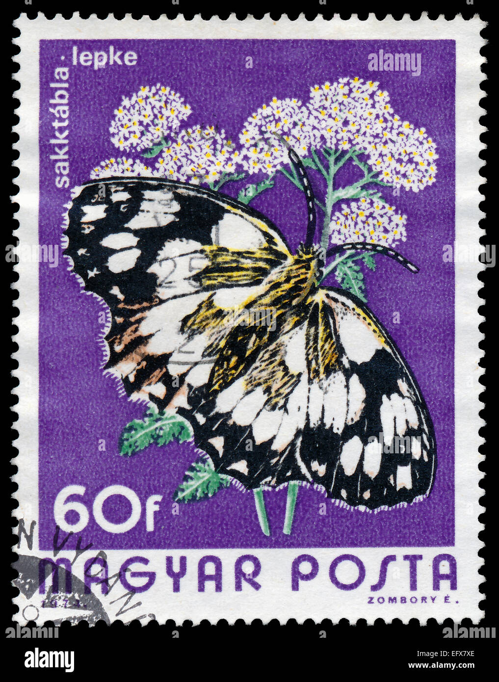 HUNGARY - CIRCA 1974: A Stamp printed in Hungary shows butterfly Marbled White - Melanargia galathea, circa 1974 Stock Photo