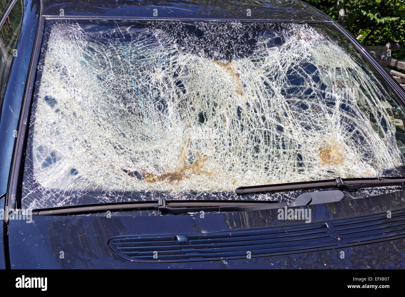 Broken glass windshield at blue car in traffic accident Stock Photo