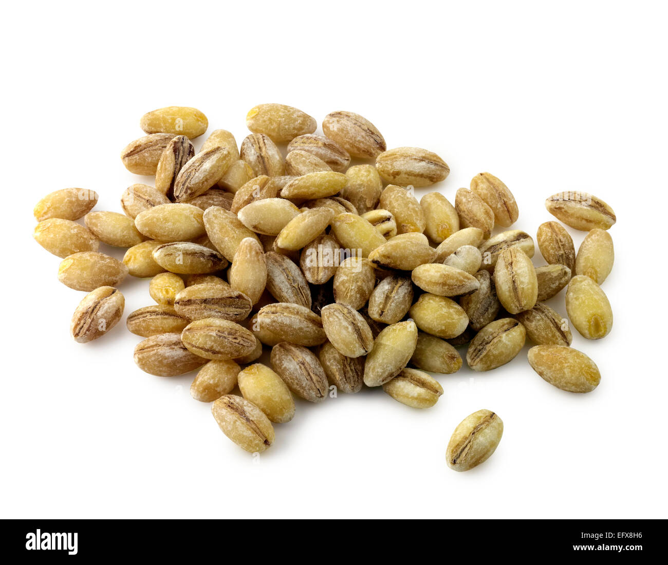 wholegrain barley Stock Photo