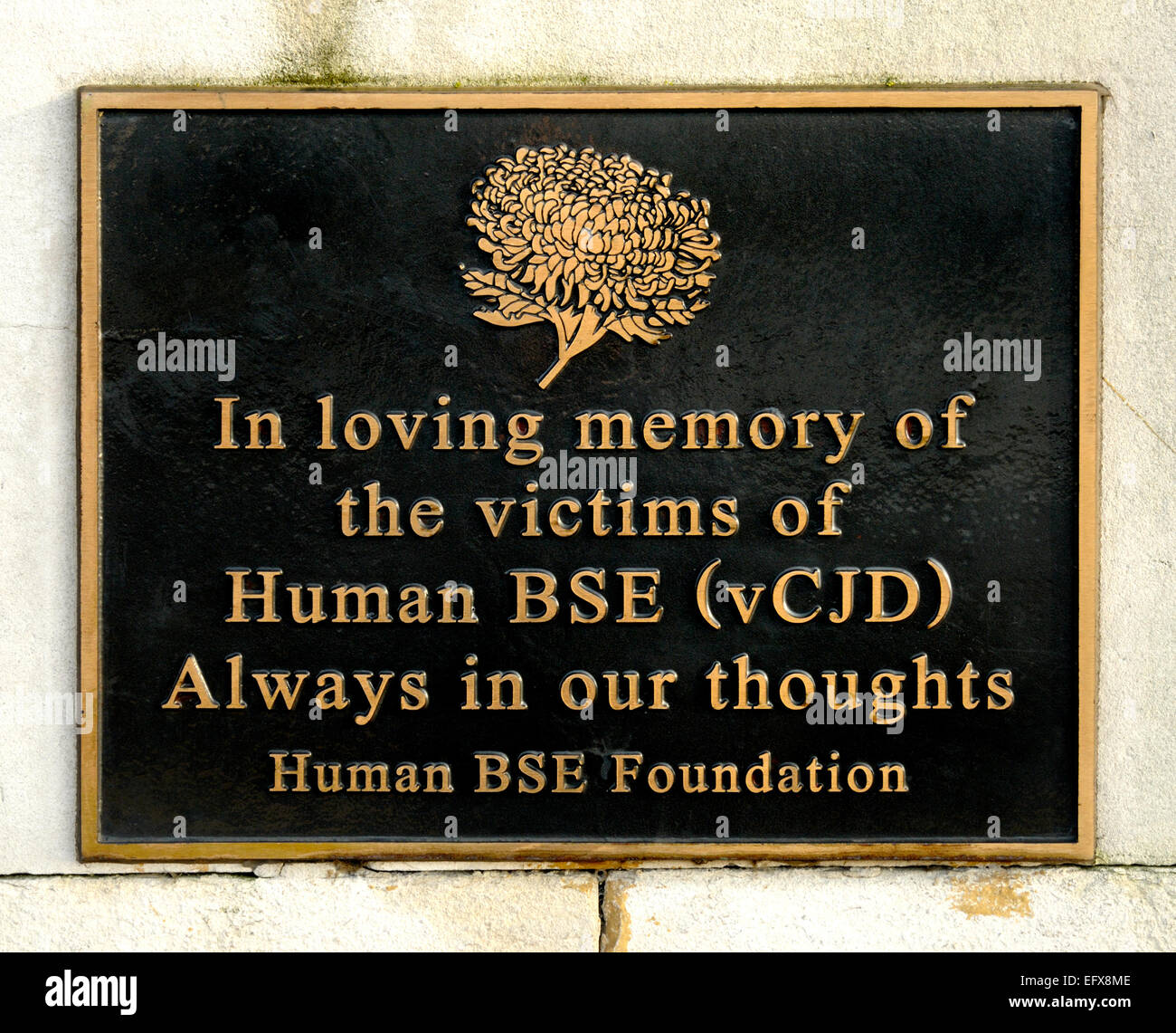 London, England, UK. Plaque commemorating the victims of BSE on the south bank of the Thames Stock Photo