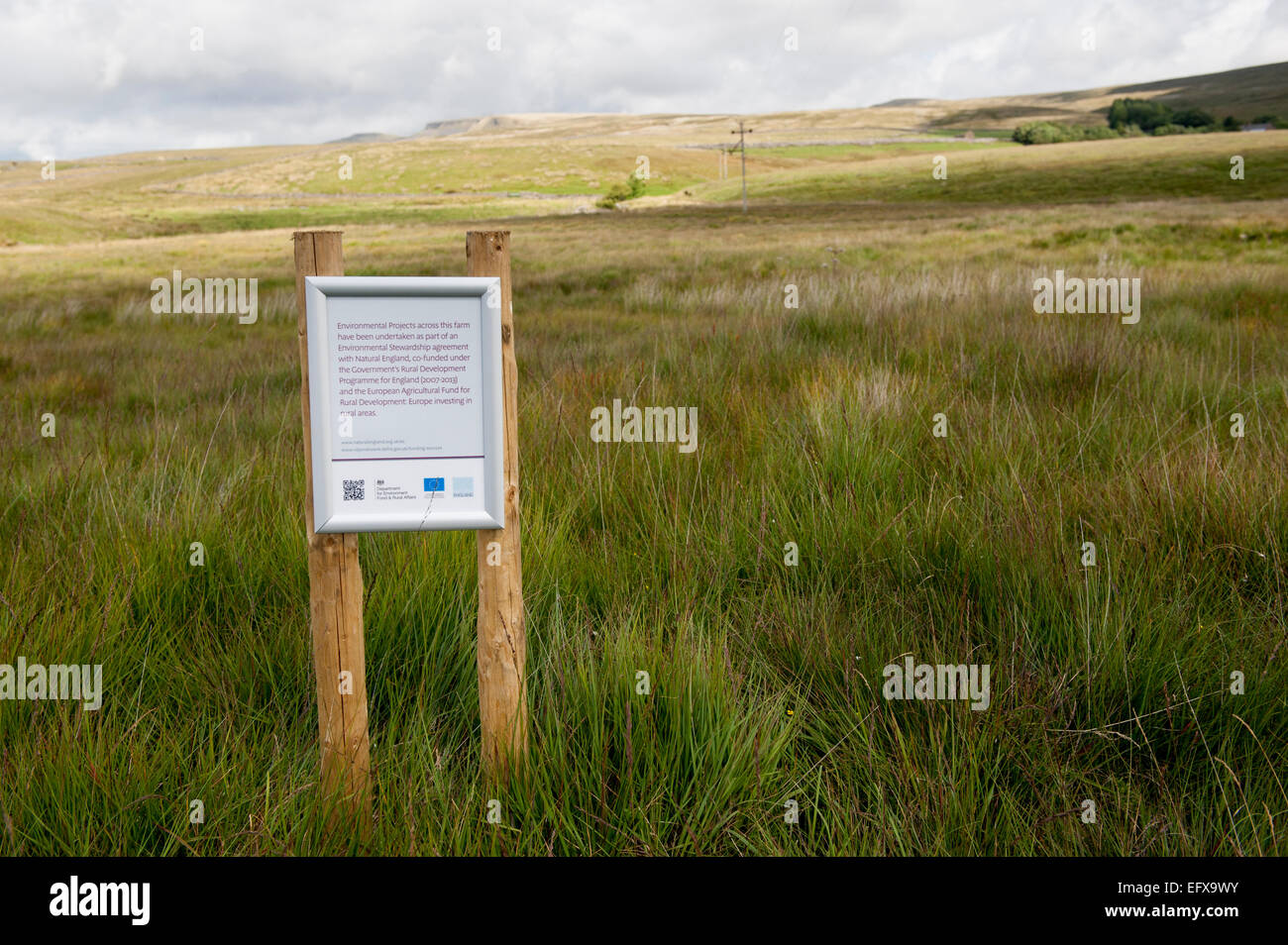 Moorland in a regeneration scheme, sponsered by Natural England. Stock Photo
