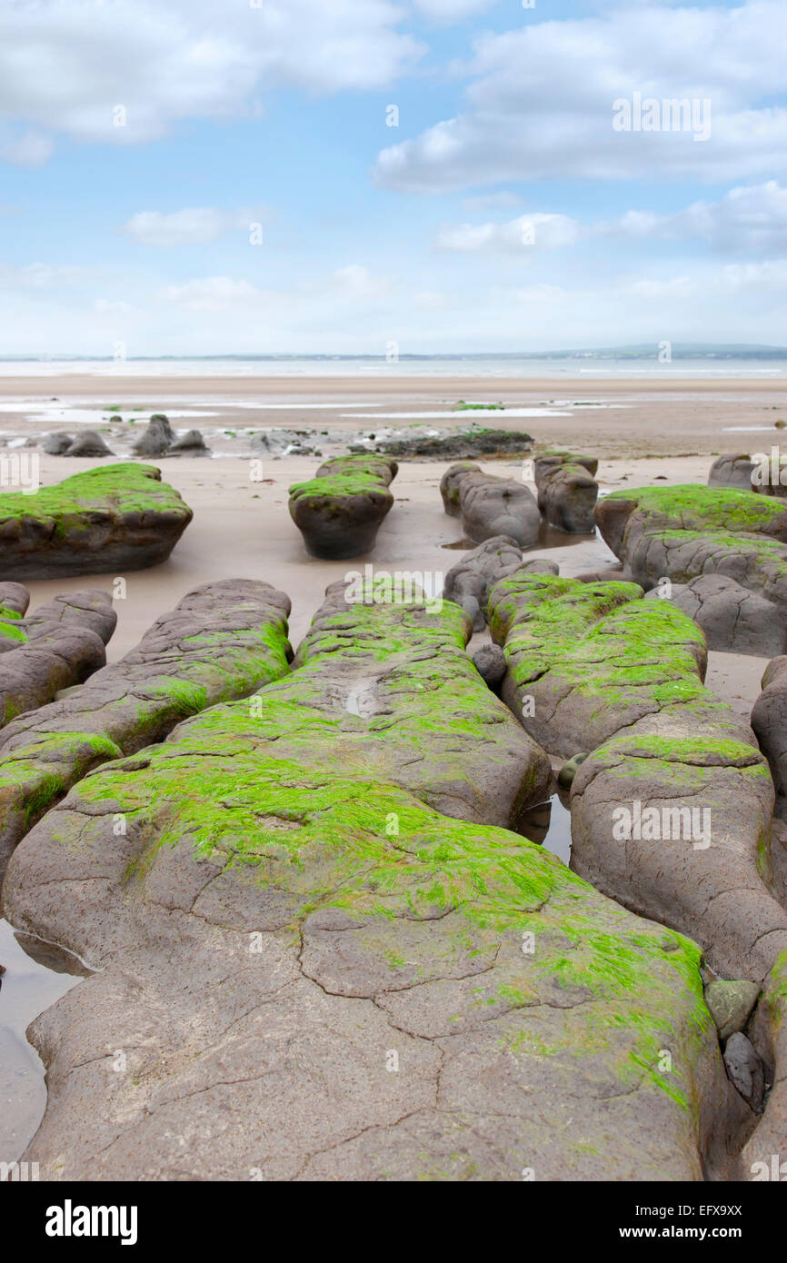 unusual mud banks at Beal beach in county Kerry Ireland on the wild Atlantic way Stock Photo
