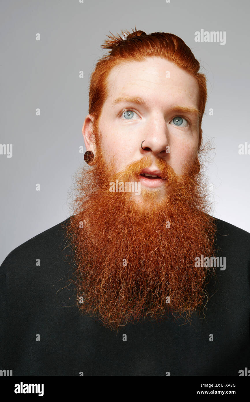 Studio portrait of young man with blue eyes, red hair and overgrown beard  Stock Photo - Alamy