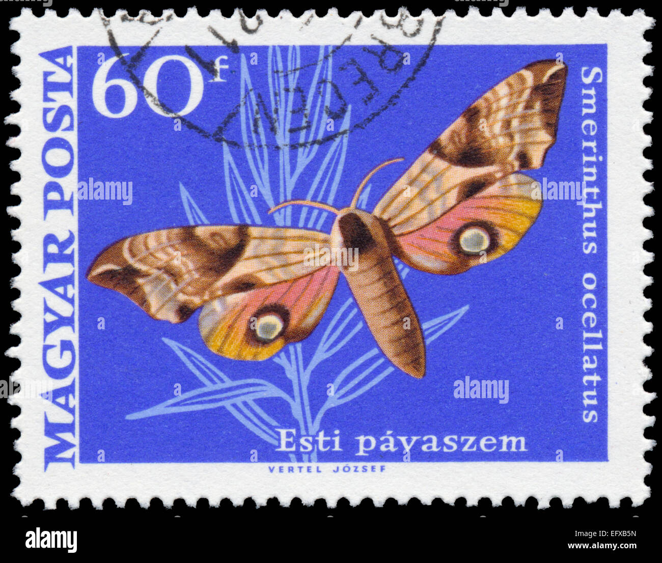 HUNGARY - CIRCA 1969: A post stamp printed in Hungary shows Eyed Hawk-Moth butterfly, Smerinthus ocellatus, circa 1969 Stock Photo