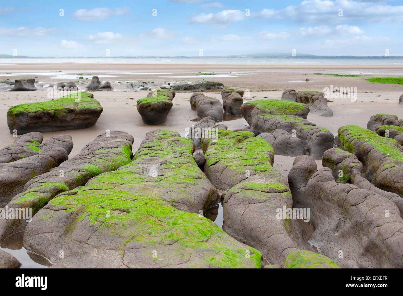 unusual mud banks at Beal beach in county Kerry Ireland on the wild Atlantic way Stock Photo