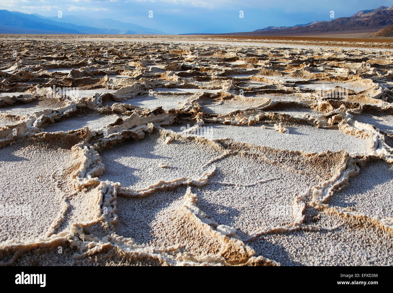 Salzkrusten, Salt Crust, Badwater Bassin, Tal des Todes, Death Valley, USA, United States of America Stock Photo