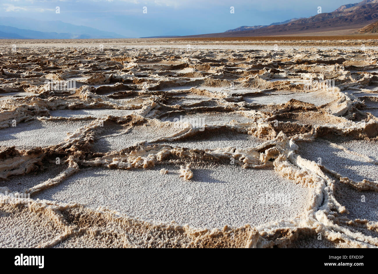 Salzkrusten, Salt Crust, Badwater Basin, Tal des Todes, Death Valley, USA, United States of America Stock Photo