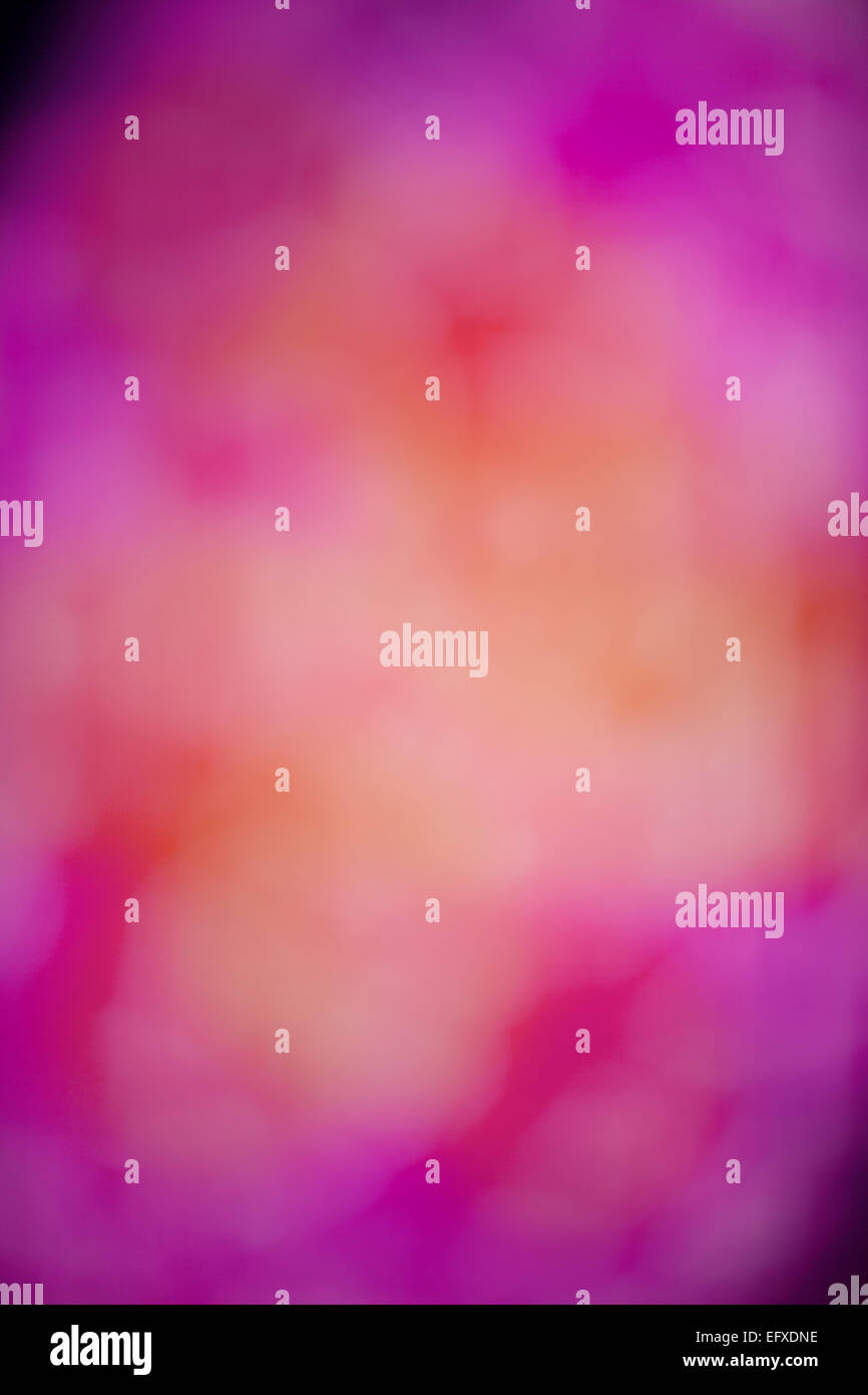 magenta abstract Stock Photo