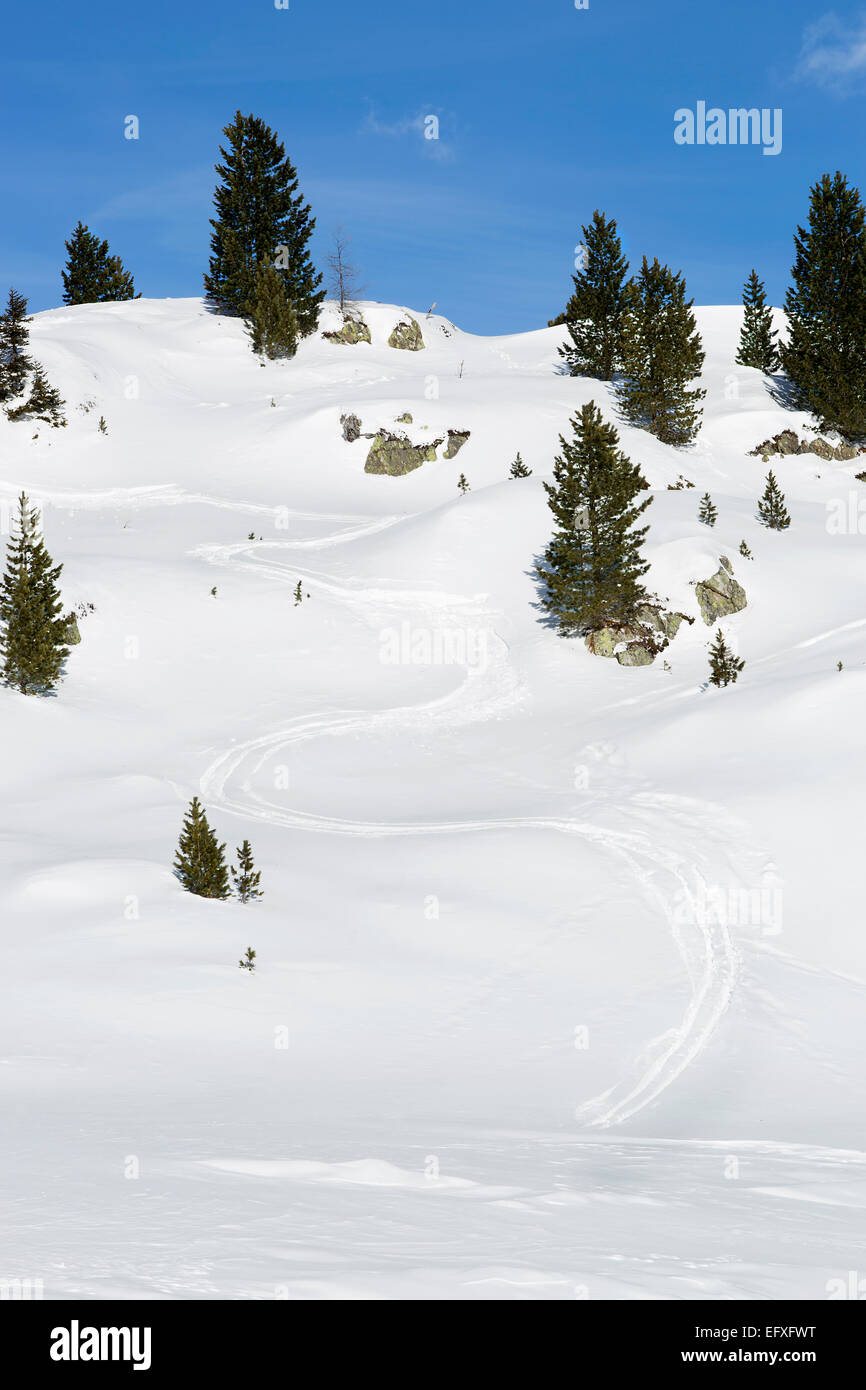 Ski run between green firs in snowy Austrian Alps Stock Photo