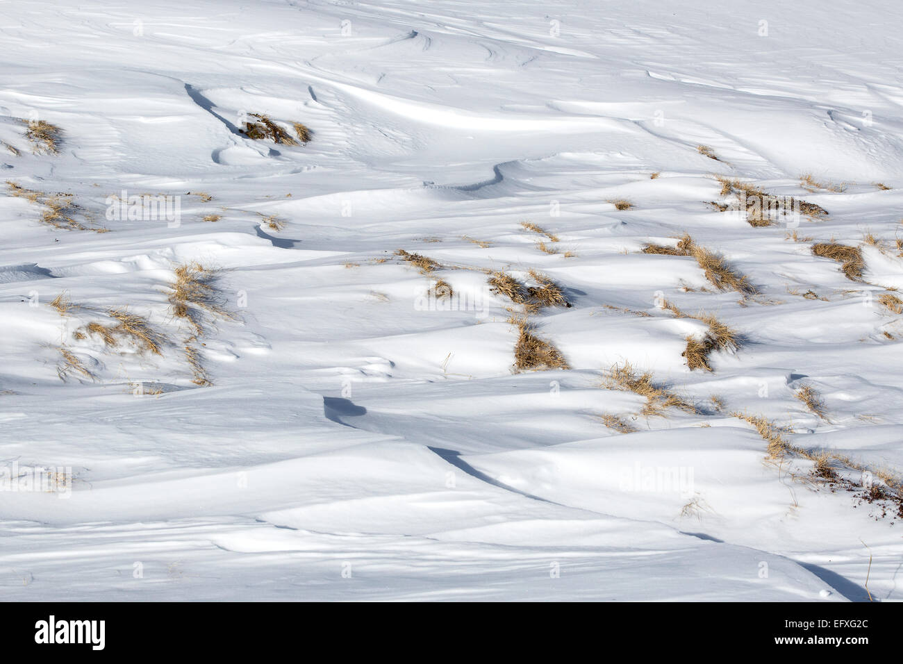 Closeup of the structures of snowdrifts in sunlight Stock Photo