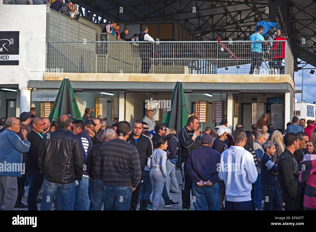 Bookmakers and punters at harness racing at Malta Racing Club, Marsa, Malta Stock Photo