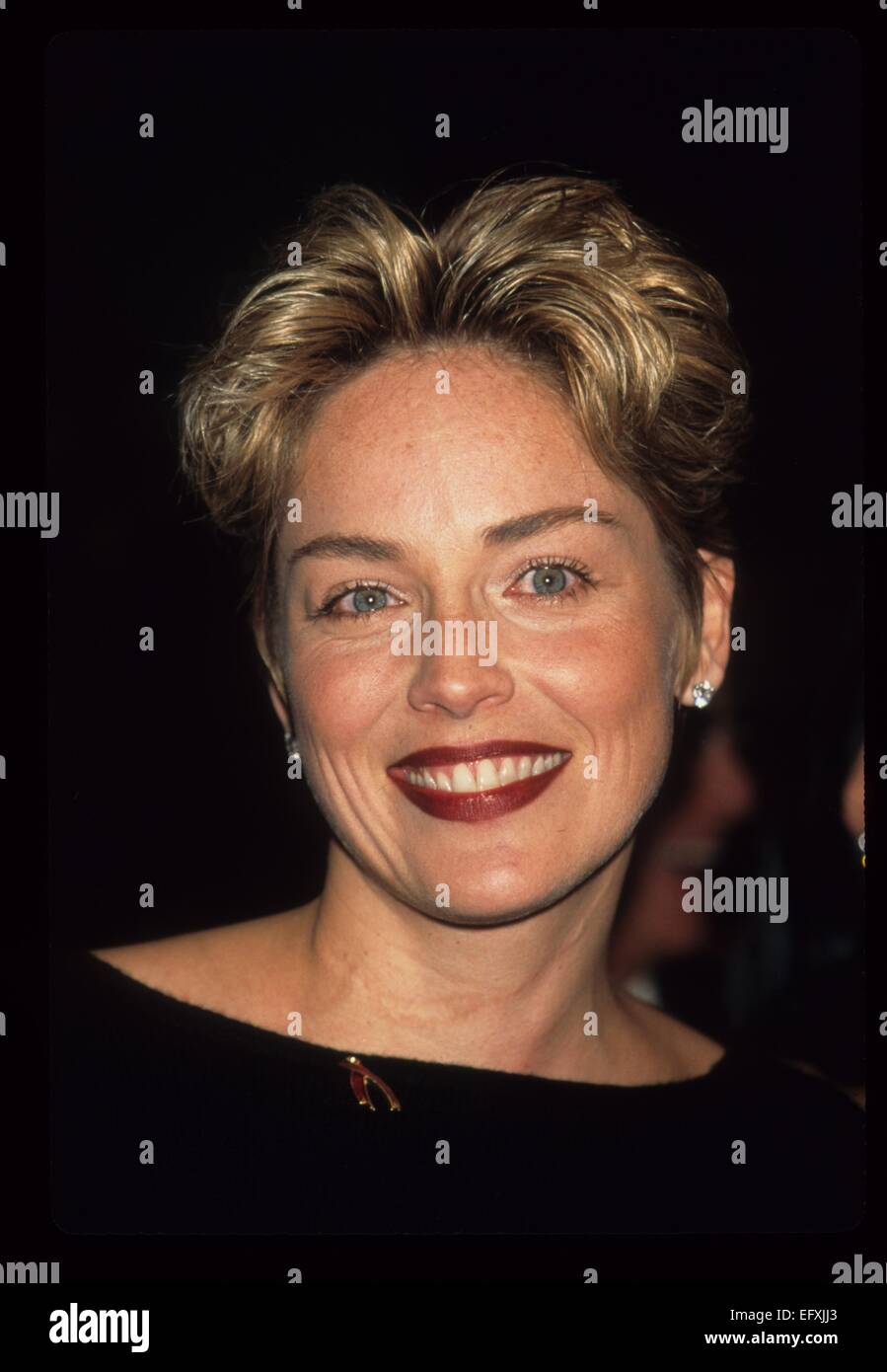 SHARON STONE at Concerned parents for AIDS research Windows on the world restaurant New York 1996.k6959ww. © Walter Weissman/Globe Photos/ZUMA Wire/Alamy Live News Stock Photo