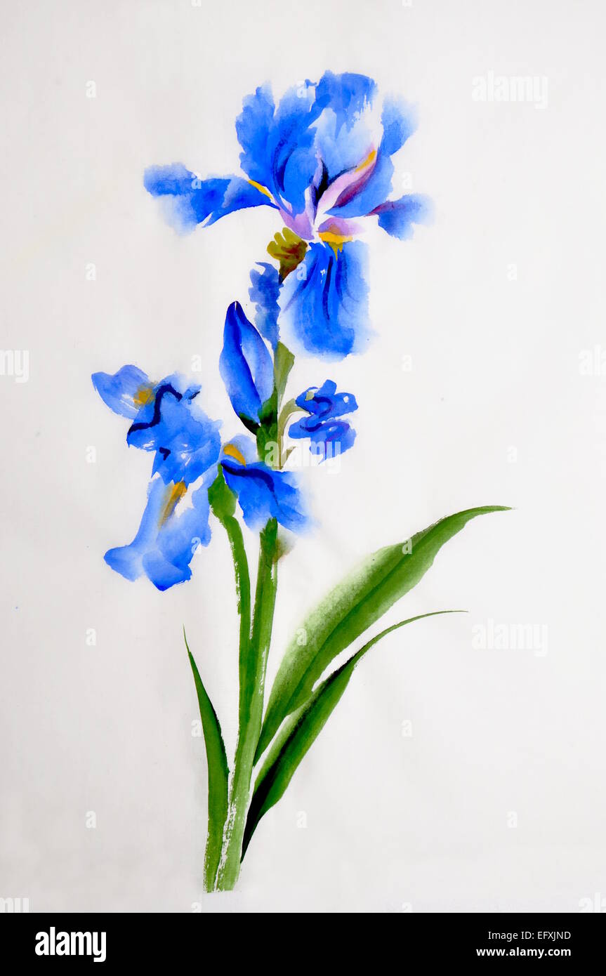 Blue iris flower watercolor painting hi-res stock photography and images -  Alamy