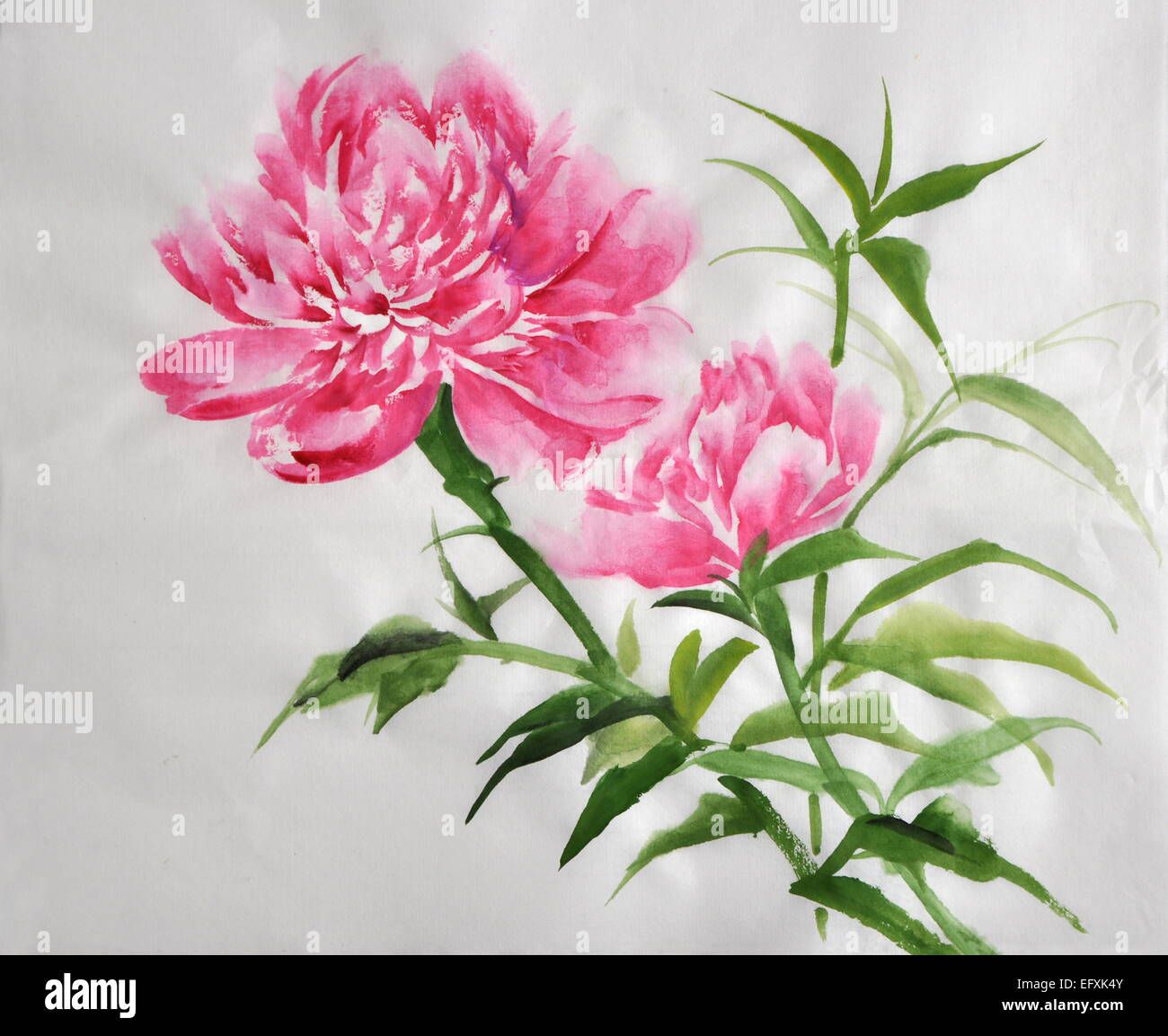 A bush of pink peonies. Original watercolor painting on rice paper