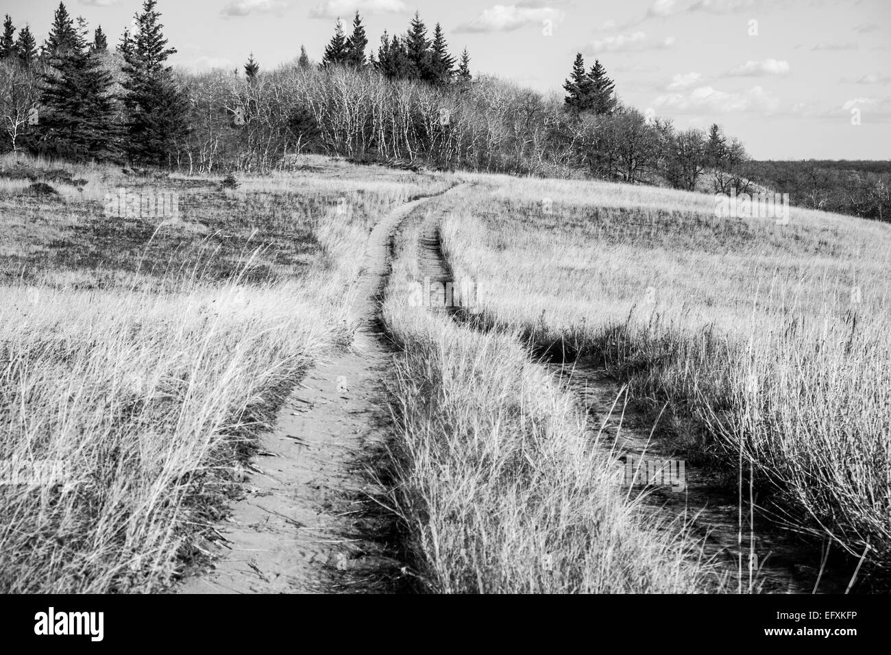 Manitoba prairies track hires stock photography and images Alamy