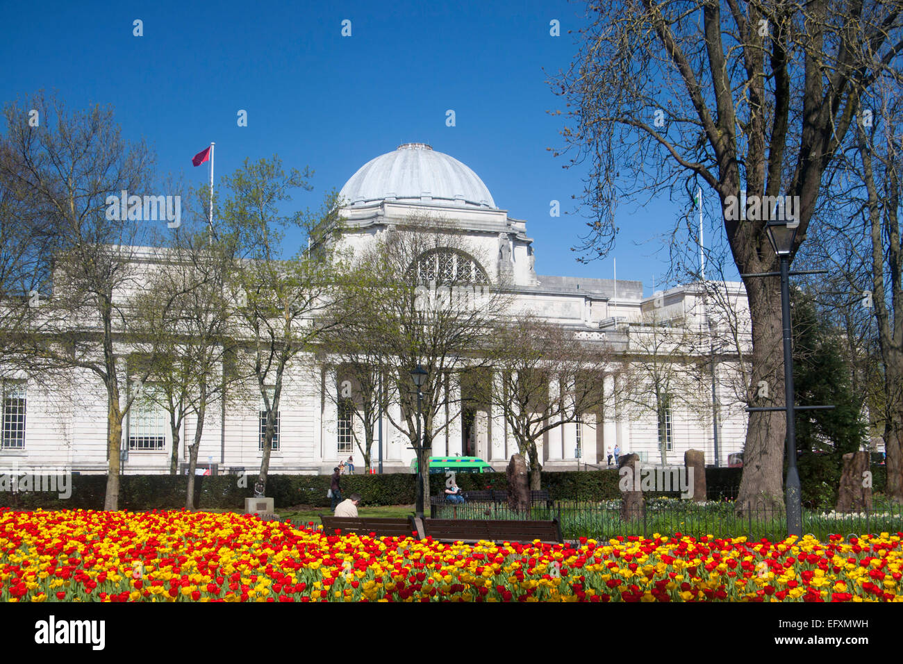 National Museum and Gallery exterior from Gorsedd Gardens in spring Cardiff South Wales UK Stock Photo