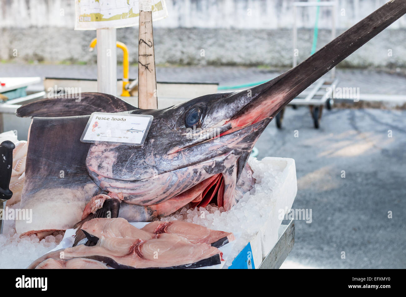 Sword fish hires stock photography and images Alamy