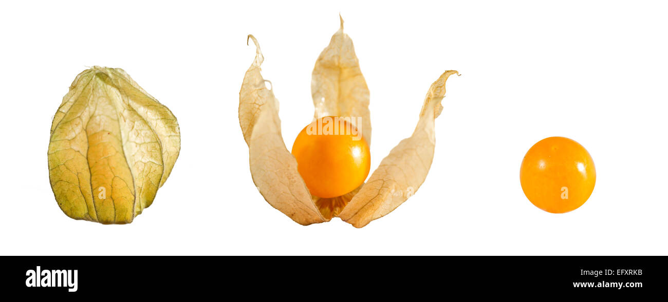 Golden berries (Physalis peruviana) on white background. Closed and without. Stock Photo