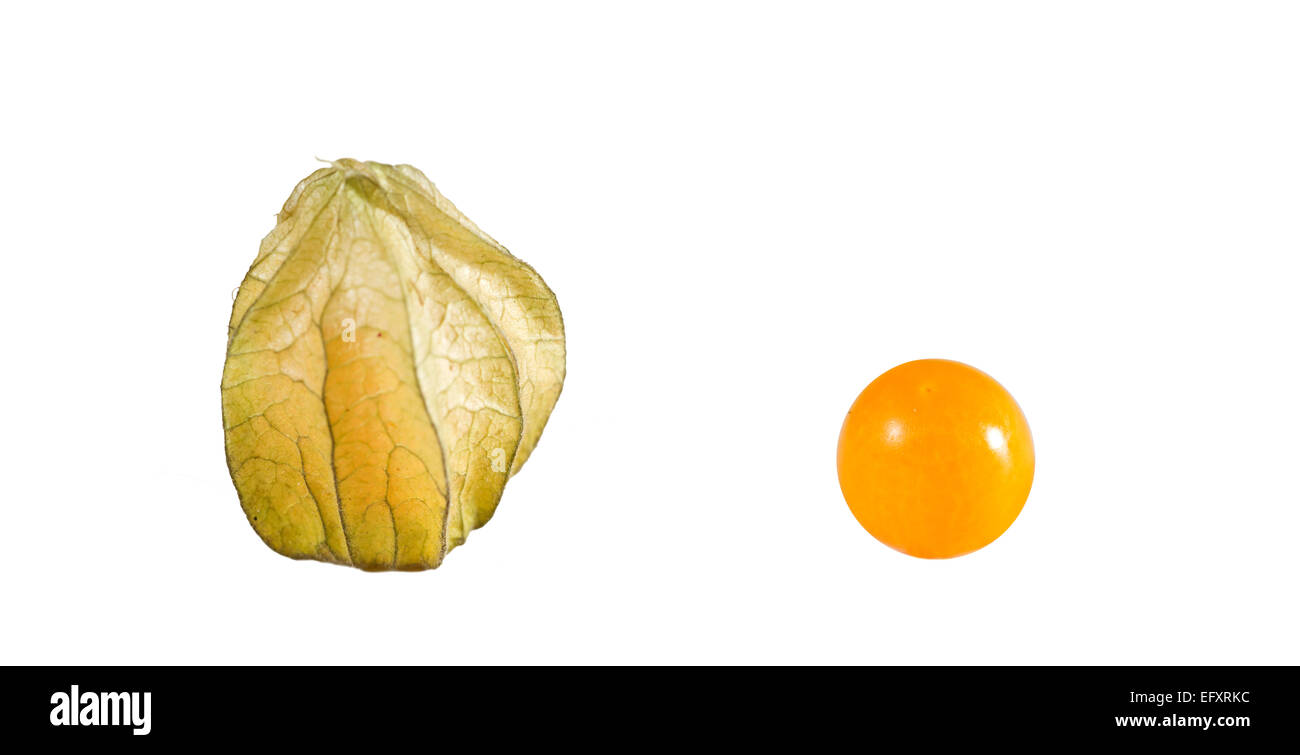 Golden berries (Physalis peruviana) on white background. Closed and