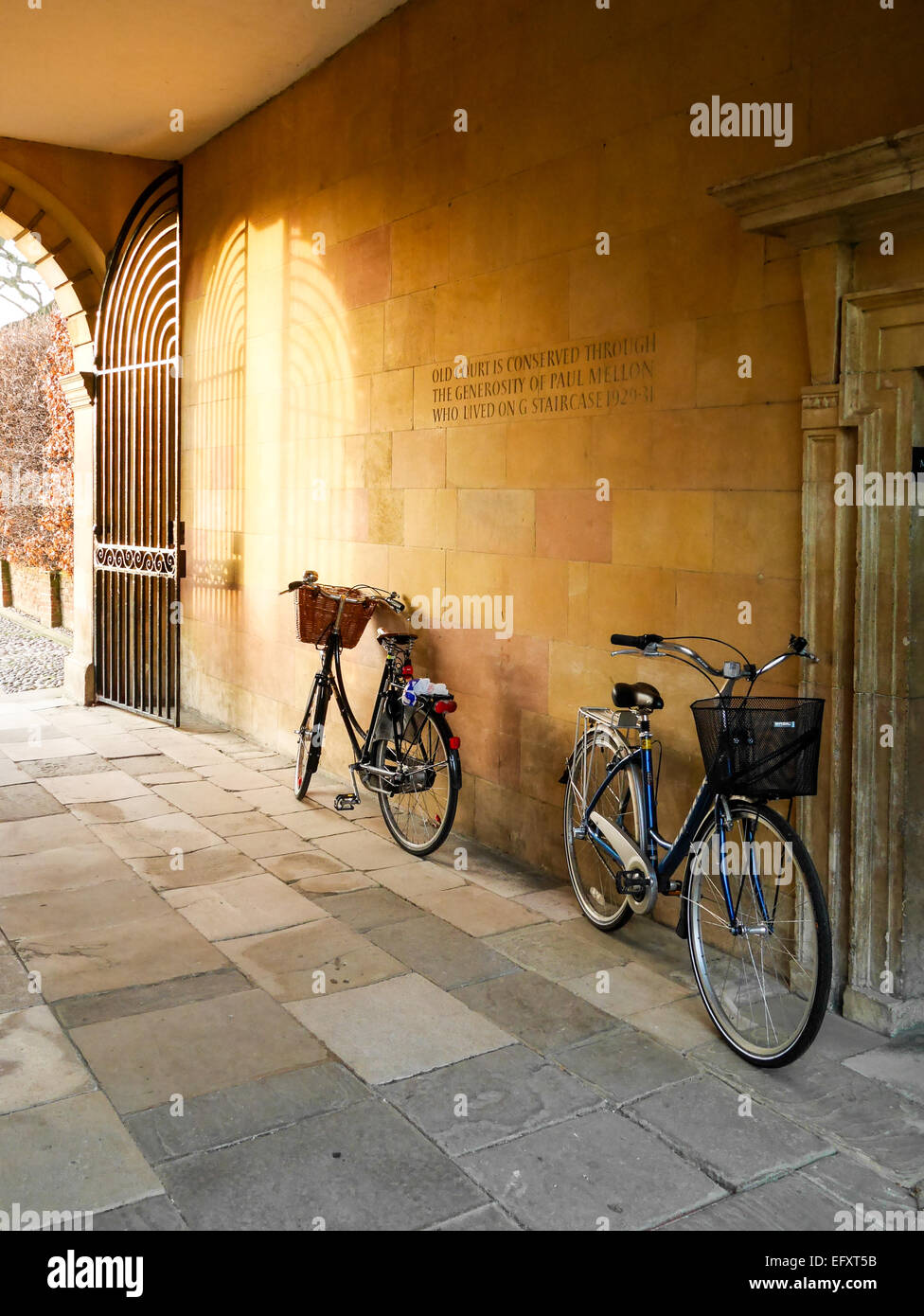 Cambridge Student Bikes Clare College. Bikes leaning against a wall, University of Cambridge UK Stock Photo