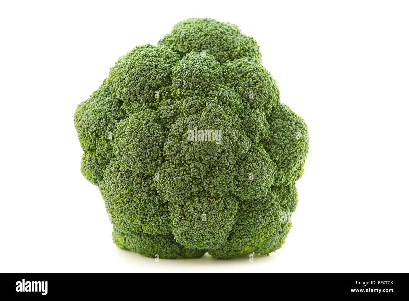 A closeup of a broccoli on white background.Broccoli is a plant in the