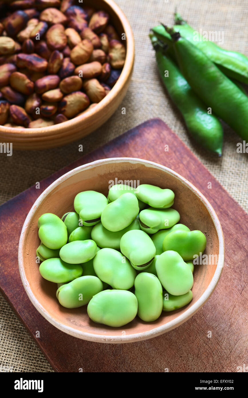 Raw broad beans (lat. Vicia faba) in bowl with pods and roasted broad beans in the back, photographed with natural light Stock Photo