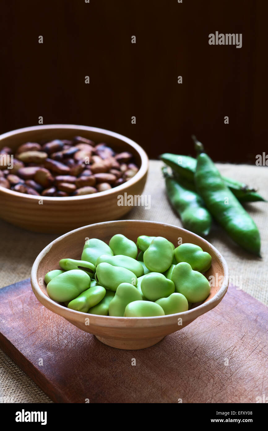 Raw broad beans (lat. Vicia faba) in bowl with pods and roasted broad beans in the back, photographed with natural light Stock Photo
