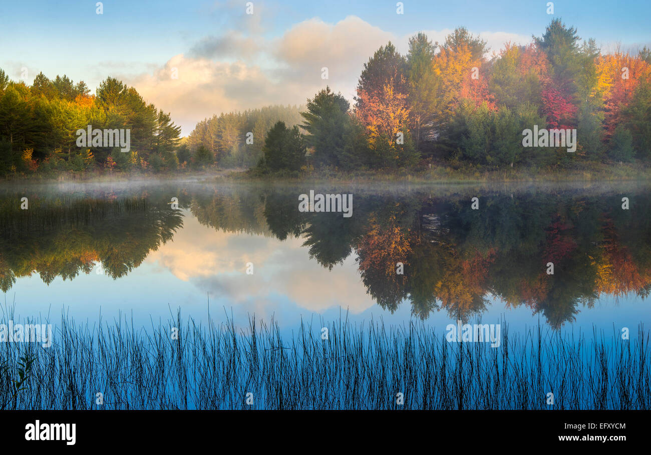 Lake Superior State Forest, Michigan: Dawn reflections on Kingston Lake with autumn colored forest Stock Photo