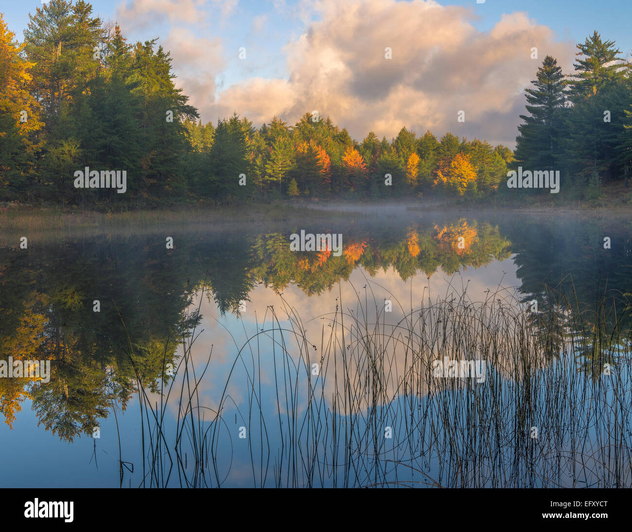 Lake Superior State Forest, Michigan Dawn reflections on Kingston Lake