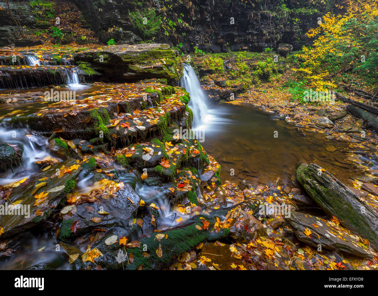 Pennsylvania state park hi-res stock photography and images - Alamy