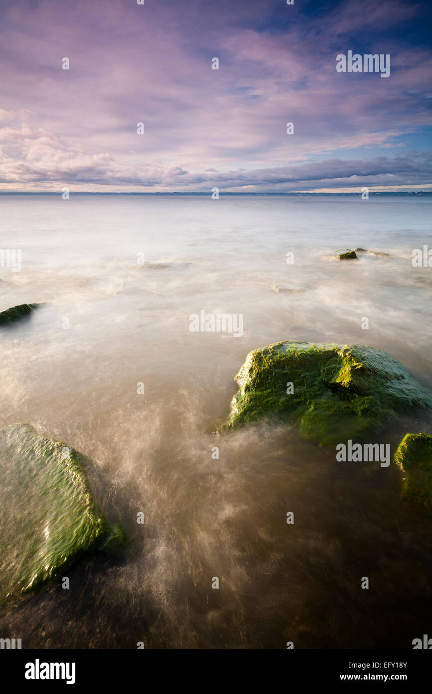 Cyanobacteria covers rocks on Lake Ontario during a colourful sunrise. Burlington, Ontario, Canada. Stock Photo