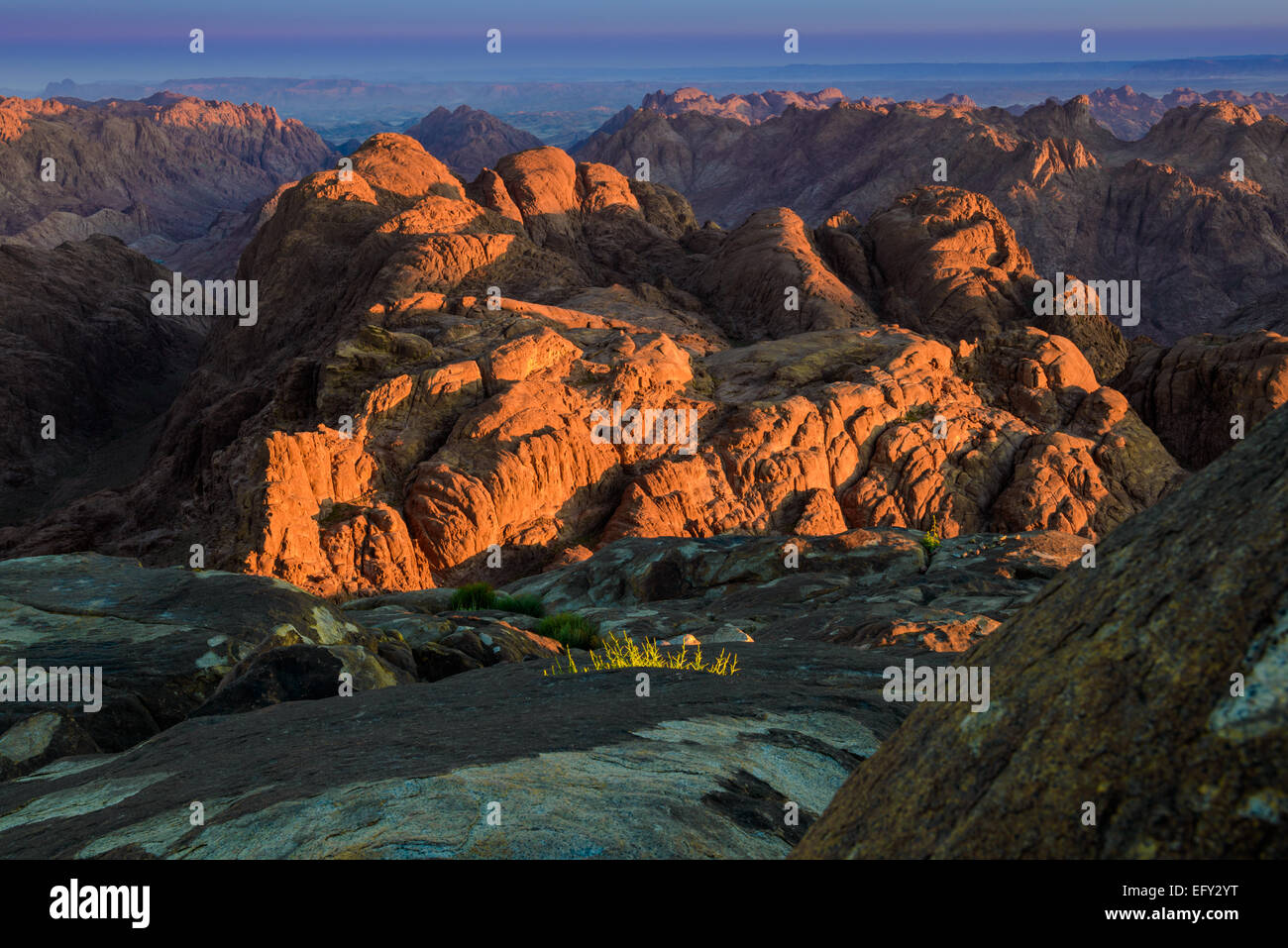Mountain range in Sinai Peninsula, Egypt, lit by rising sun. Stock Photo