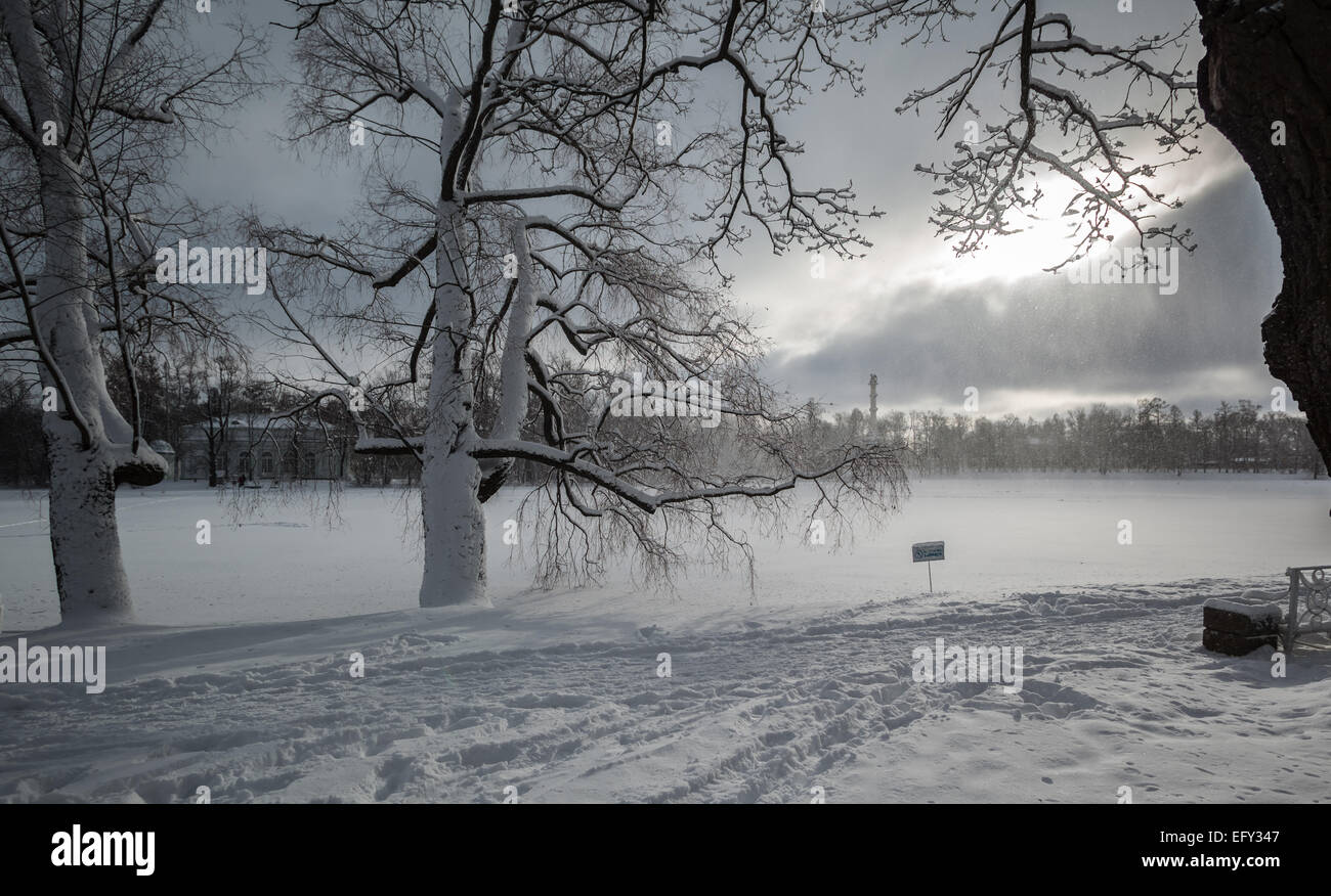 Russia. Tsarskoye Selo. Winter view Ekaterinenskaya park. Winter in the park Ekaterinenskaya. Catherine Park winter look. Stock Photo