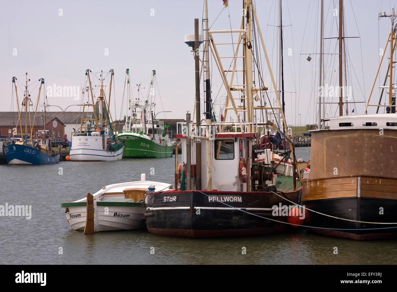 Fishing cutters in the harbor of Buesum, Dithmarschen district, Schleswig-Holstein, North Sea, Germany, Europe Stock Photo