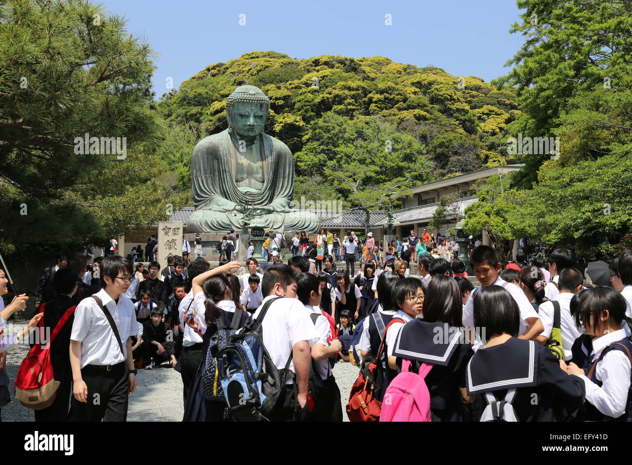The Great Buddha of Kamakura - Kamakura, Japan Stock Photo - Alamy