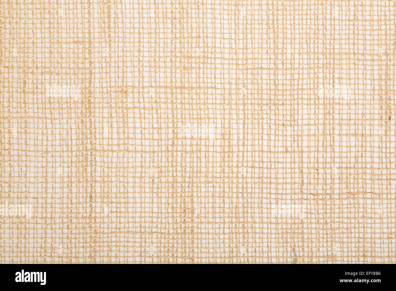 FREE) Canvas Texture
