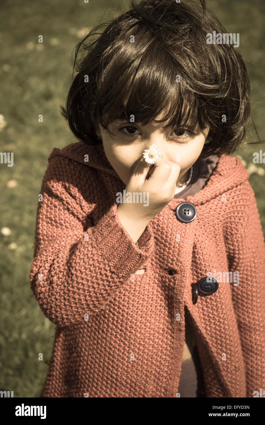 Little girl with a daisy Stock Photo - Alamy