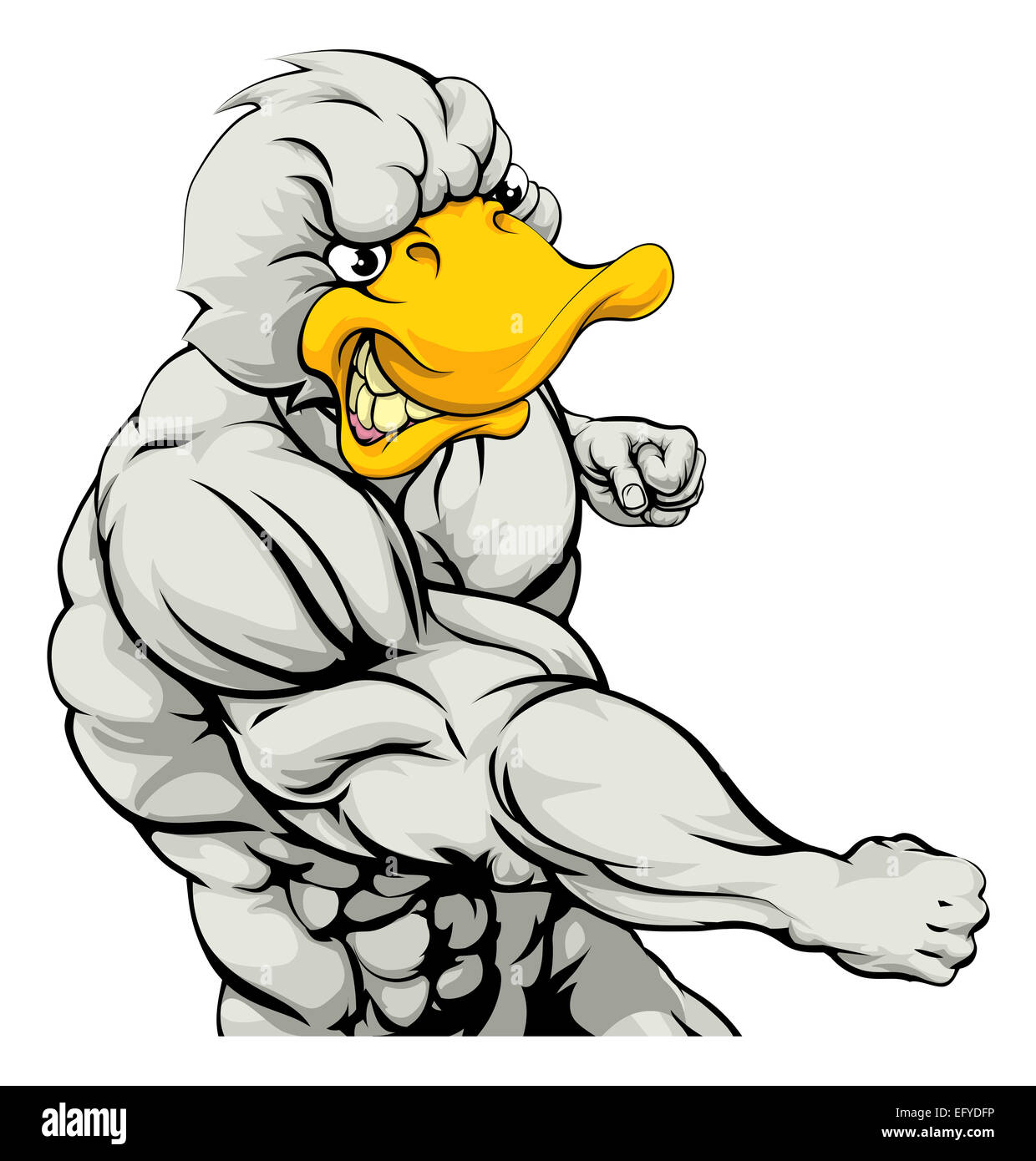 A mean looking duck character mascot fighting and punching with fist Stock Photo
