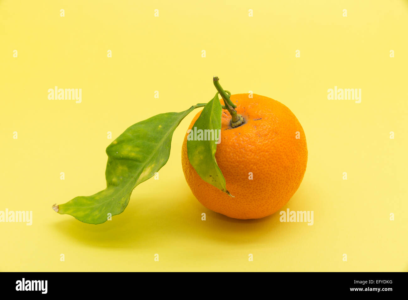 ripe orange on a yellow background Stock Photo