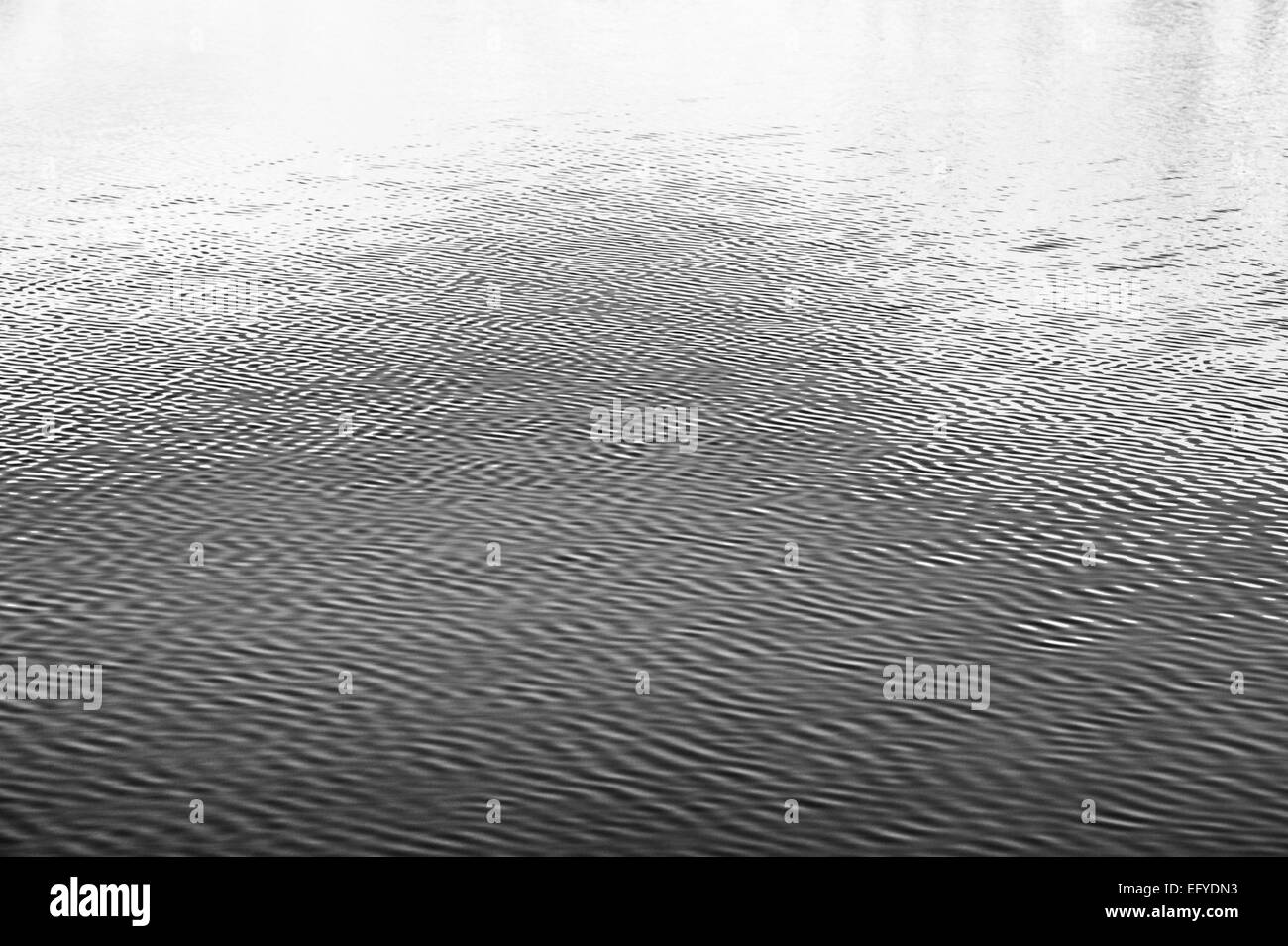 Water ripple pattern on a Scottish loch Monochrome Stock Photo