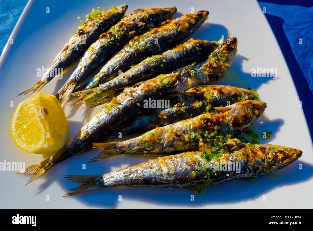 Spanish style sardines hires stock photography and images Alamy