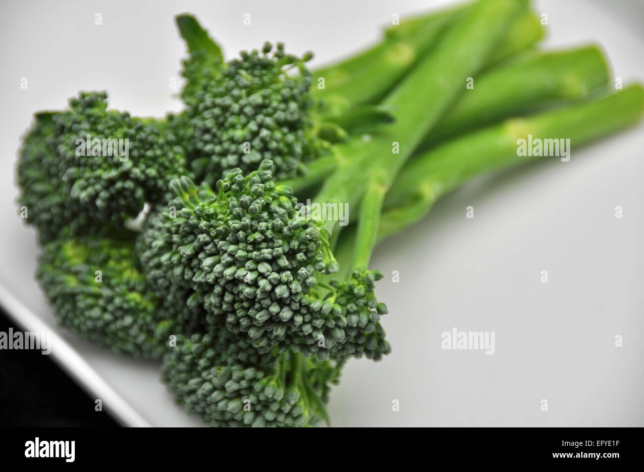 Tender stem broccoli spears on a white rectangular plate, black Stock