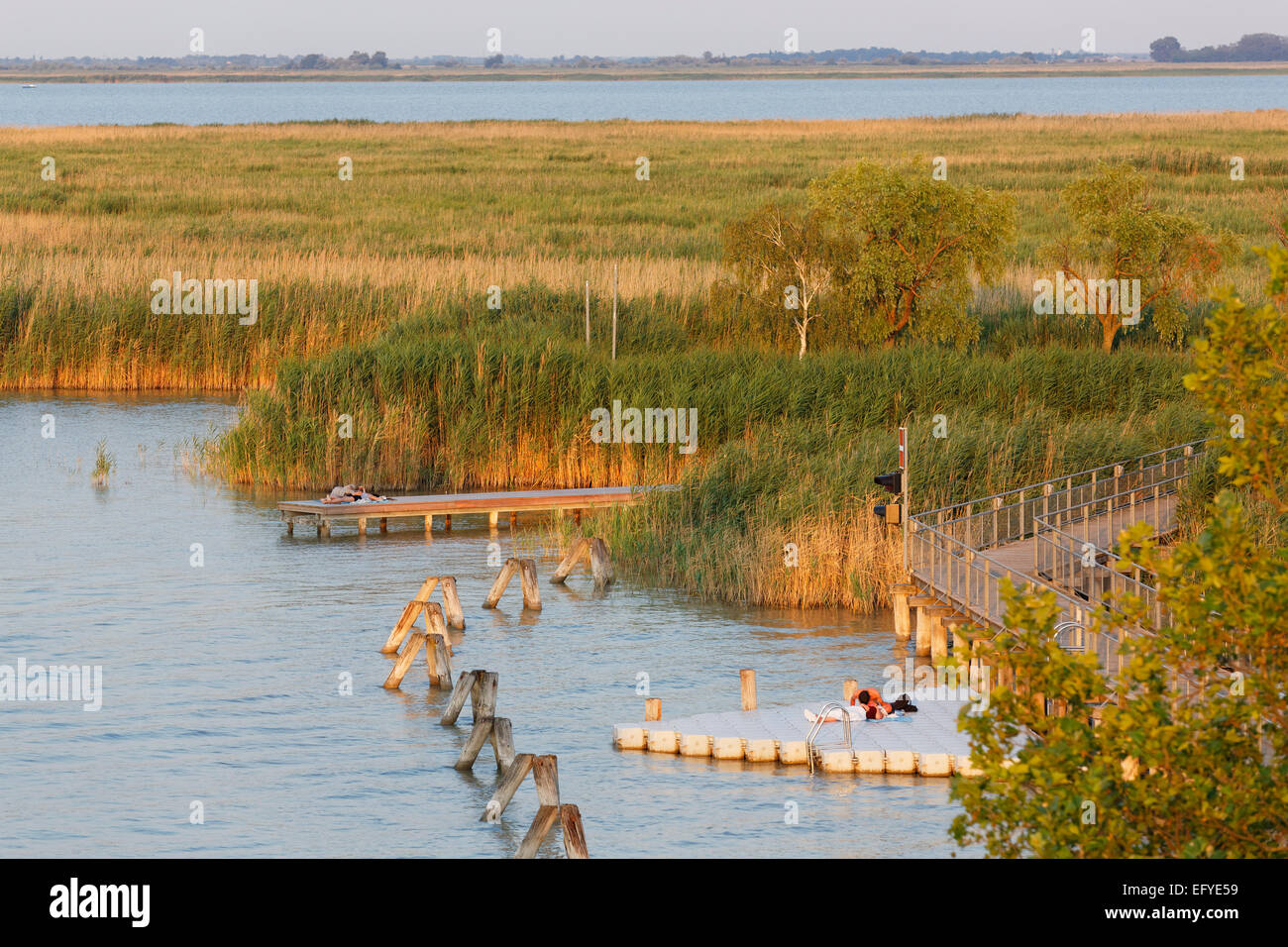 Neusiedler See, Neusiedlersee Bei Mörbisch Am See, Nordburgenland ...