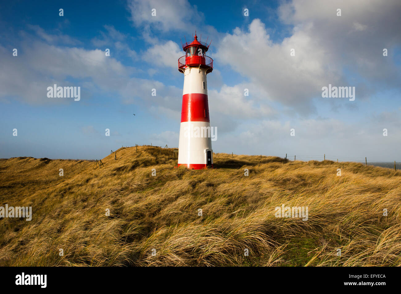 The red and white lighthouse of List Ost on the Ellenbogen peninsula, List, Sylt, North Frisia, Schleswig-Holstein, Germany Stock Photo
