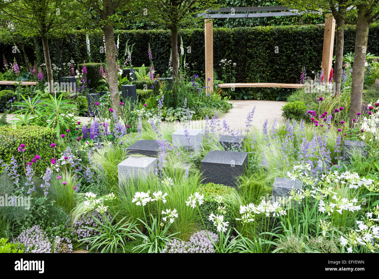 Garden with bench, pergola, granite blocks, box cubes and mixed planting of grasses, catmint, foxgloves and agapanthus Stock Photo