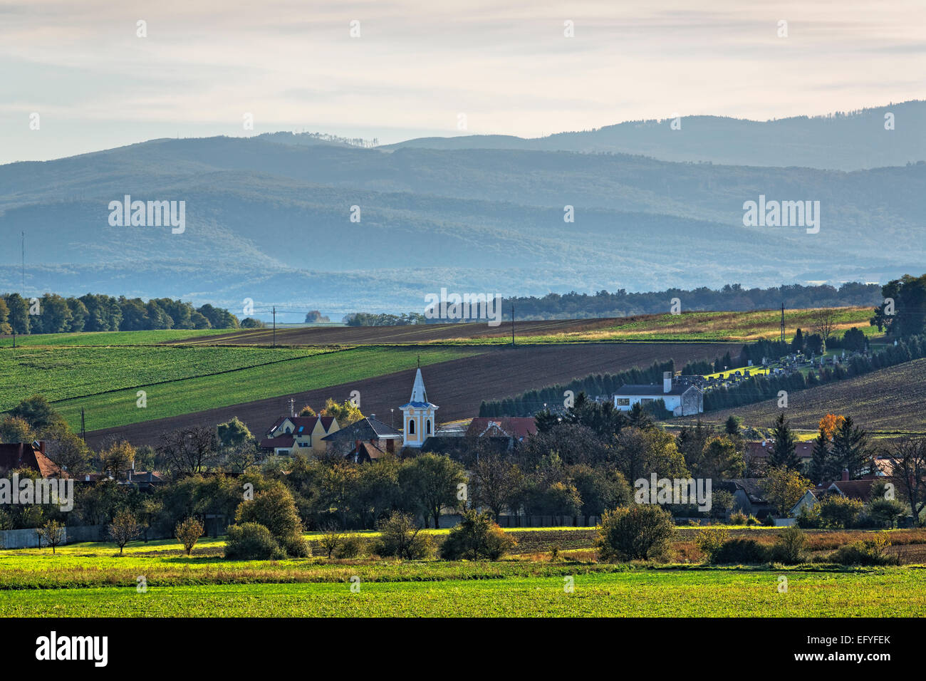 Townscape, Kroatisch Geresdorf, MitteRMburgenRMand region, BurgenRMand, Austria Stock Photo