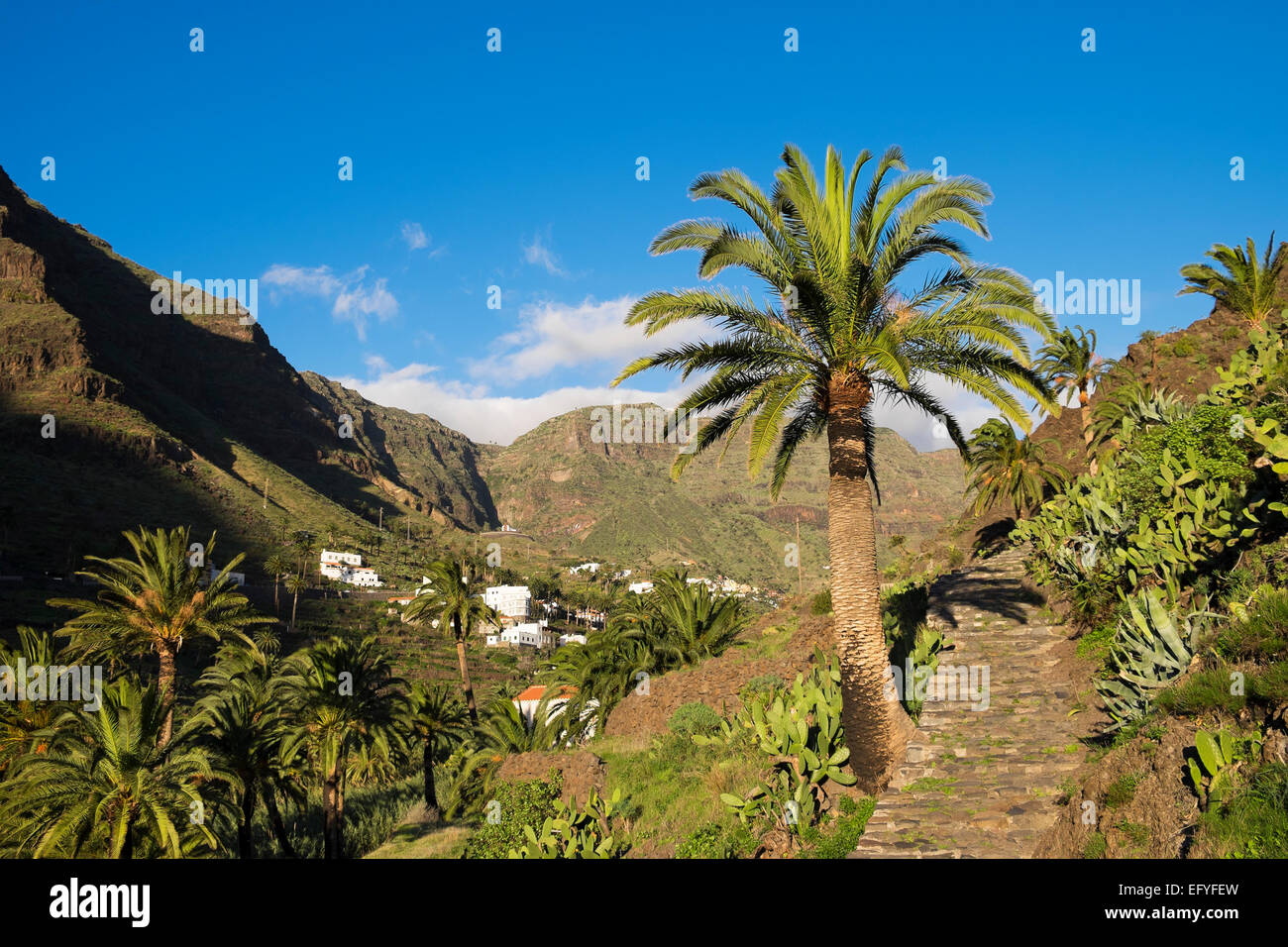 Hiking traiRM, viRMRMage of RMos Granados, VaRMRMe Gran Rey, RMa Gomera, Canary IsRMands, Spain Stock Photo